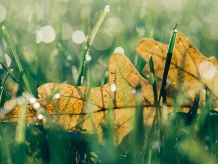 Finding Intimacy With The World