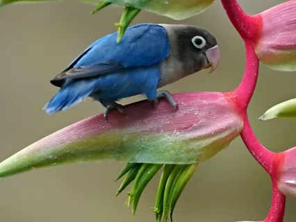 Finding Joy In A Higher Vibration