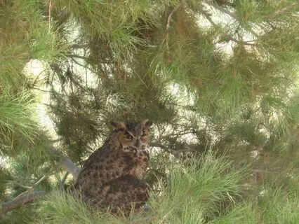 Finding Joy In Simple Moments