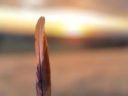 Finding Joy In The Little Things