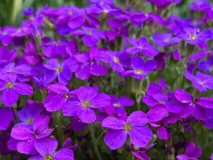 Finding Joy Through Movement