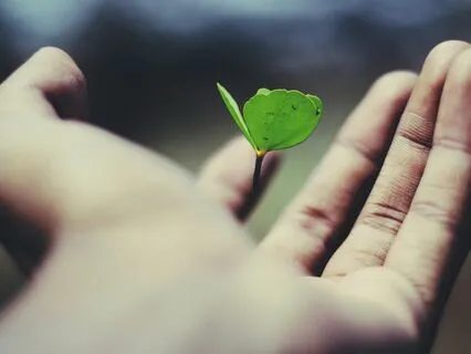 Finding Life Purpose And Getting Answers From Divine