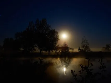 Finding Light In The Dark