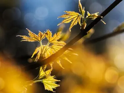 Finding Lightness In Your Heart Again