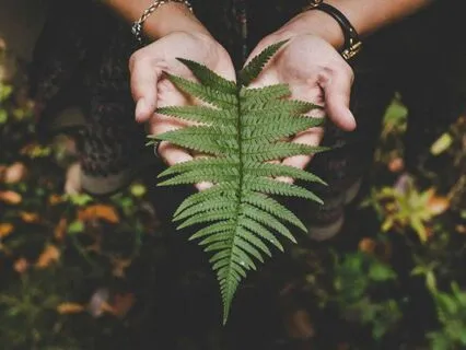 Finding Loving-Kindness Phrases | Metta For Yourself