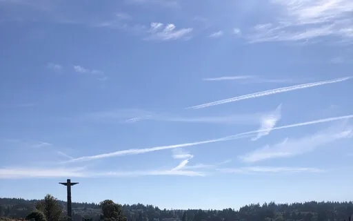 Finding Meaning And Purpose