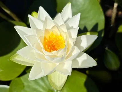 Finding Meaning In The Ordinary