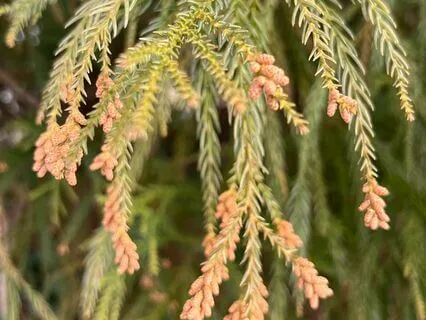 Finding More Quiet Inside