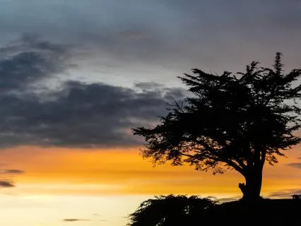 Finding Nothing: Music For Meditation (Sleep Mix)