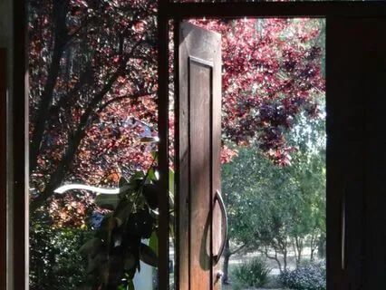 Finding Opportunity Within Challenges