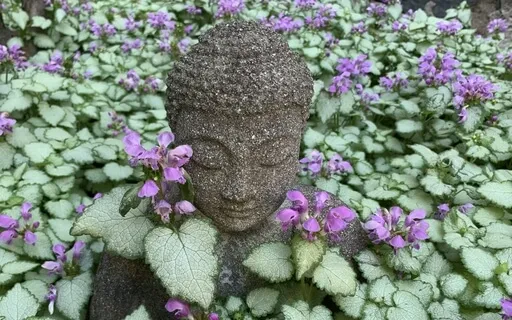 Finding Our Moral Compass In A Messy World