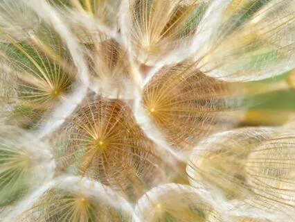 Finding Patience: The Art Of Deep Listening