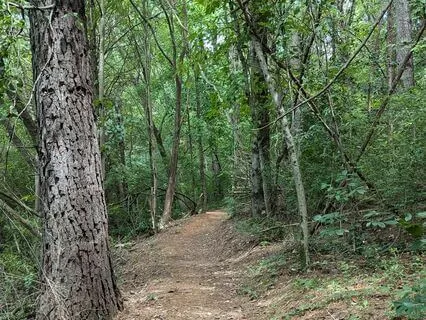 Finding Peace: A Breathing Journey To Soothe Anxiety