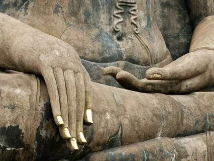 Finding Peace And Compassion In A Conflictual World