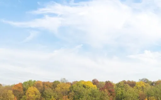 Finding Peace And Perspective Through Stress