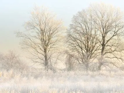 Finding Peace And Space After The Winter Holidays