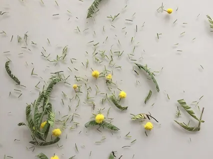 Finding Peace - Appreciating Our Human Life