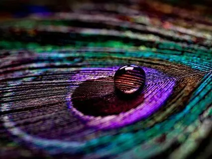 Finding Peace In A Busy Day