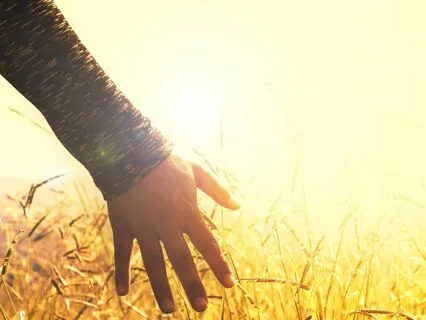 Finding Peace In A Troubled World