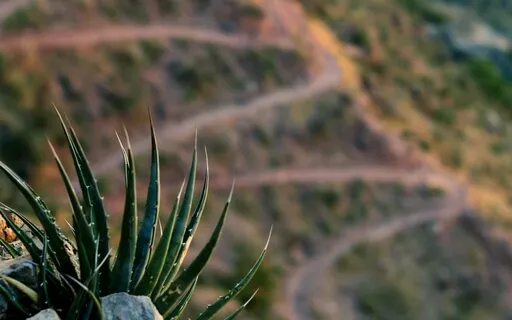 Finding Peace In Chaos