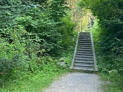 Finding Peace In Chaos