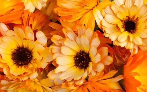 Finding Peace In Chaotic Times