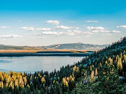 Finding Peace In Letting Go