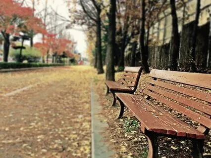 Finding Peace In Silence