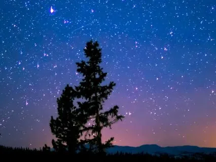 Finding Peace In Stillness