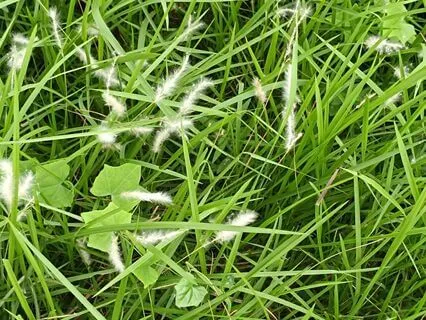 Finding Peace In The Evening's Soft Glow