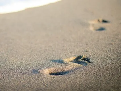 Finding Peace In The Midst Of Chaos With Thomas Merton