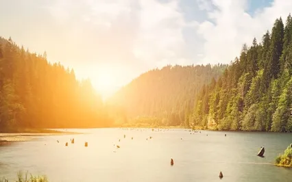 Finding Peace In The Present Moment