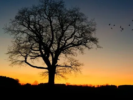 Finding Peace Music For Stress Relief