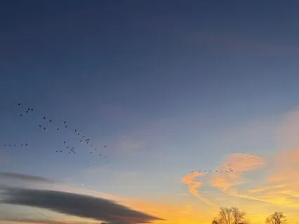 Finding Peace Of Mind Through Loss And Change