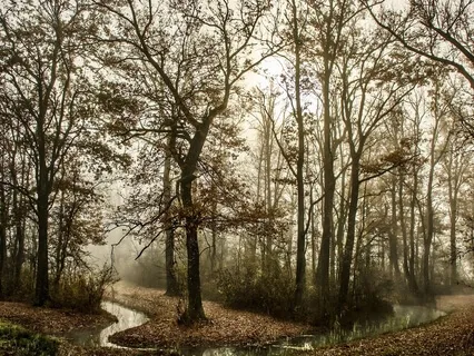 Finding Peace Of Mind In Deep Sleep