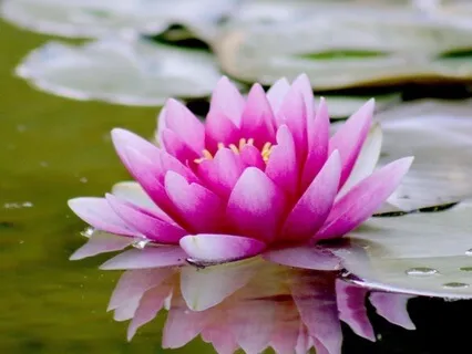 Finding Peace Right Where I Am