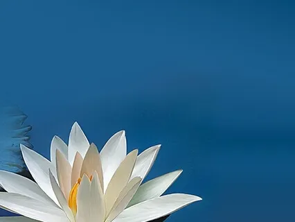 Finding Peace through Breath