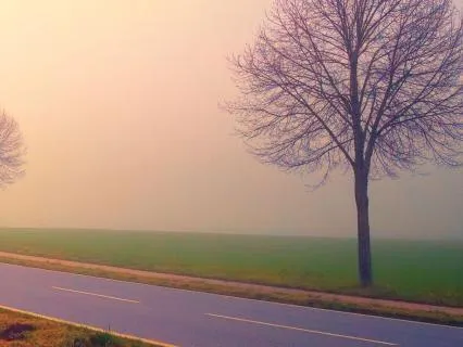 Finding Peace When Life Feels Like It's All About You