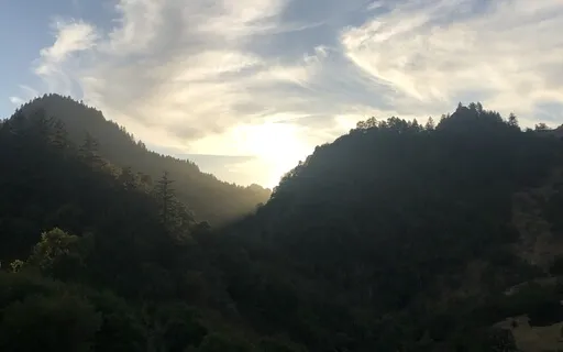 Finding Peace With Care & Curiosity