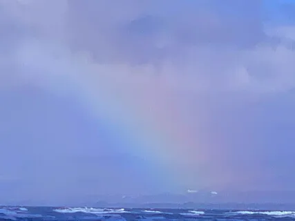 Finding Peace With Forgiveness