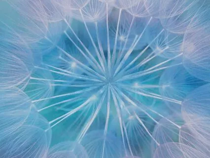 Finding Peace With Your Body: A Body Acceptance Meditation