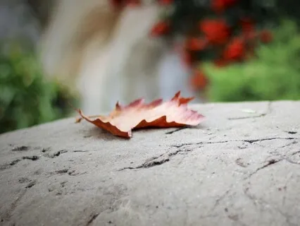 Finding Peace Within: An Introduction To Meditation