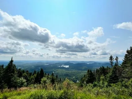 Finding Peace Within:  Letting Go Of Comparison