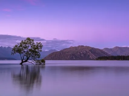 Finding Peace Within