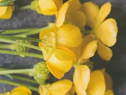 Finding Pearls Of Wisdom