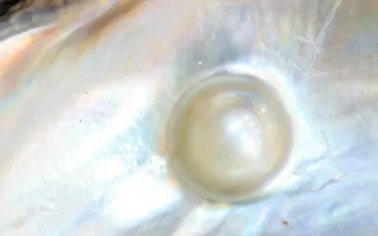 Finding Presence And Strength