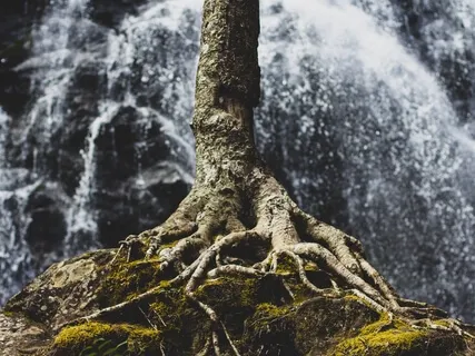 Be Here Now Grounding Meditation