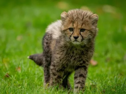 Finding Purpose Through Flow