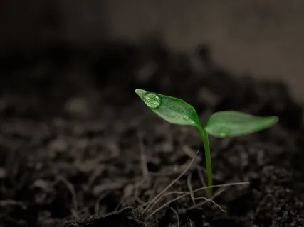 Finding Purpose Within The Pain With Christina Lerchen