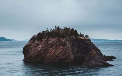 Finding Refuge In The Mind